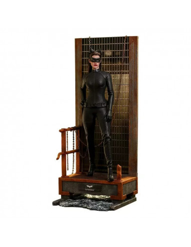 BATMAN The Dark Knight Trilogy Selina Catwoman 1/6 Action Figure MMS627 Hot Toys