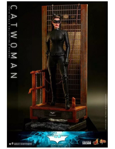 BATMAN The Dark Knight Trilogy Selina Catwoman 1/6 Action Figure MMS627 Hot Toys
