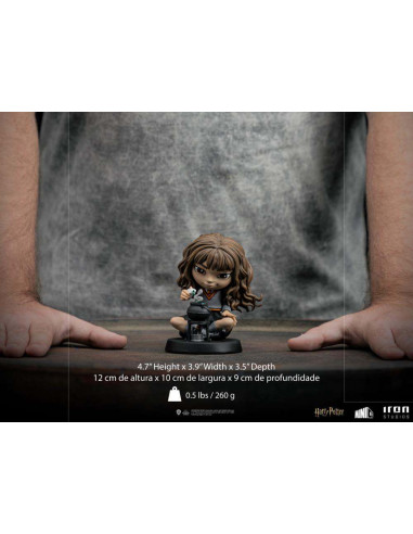 HP HERMIONE POLYJUICE MINICO