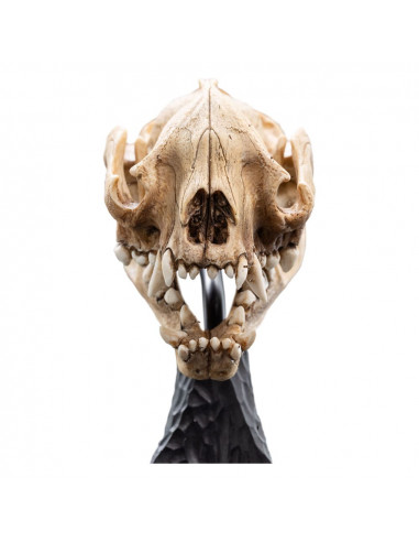 Lord of the Rings Mini Statue Skull of a Warg 20 cm