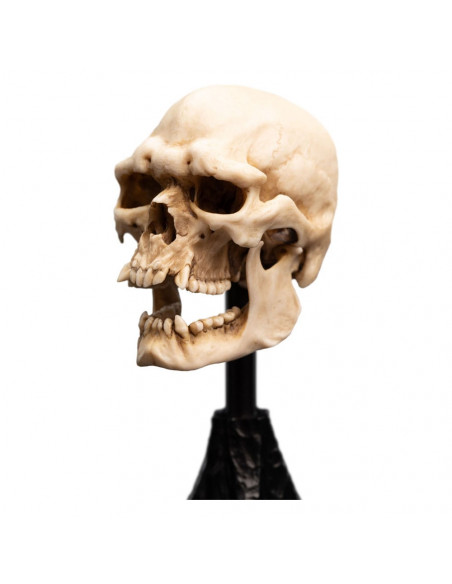 Lord of the Rings Mini Statue Skull of a Mordor Orc 14 cm