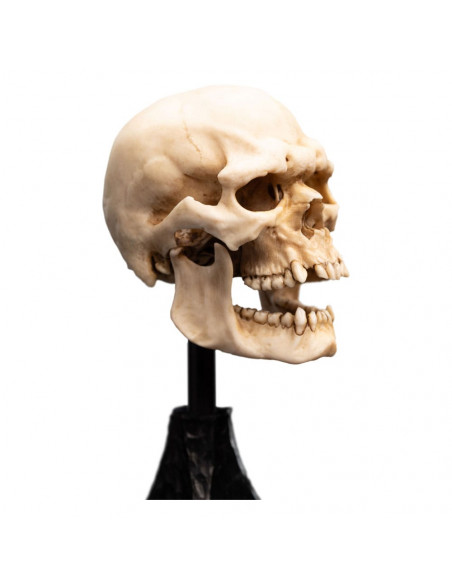 Lord of the Rings Mini Statue Skull of a Mordor Orc 14 cm