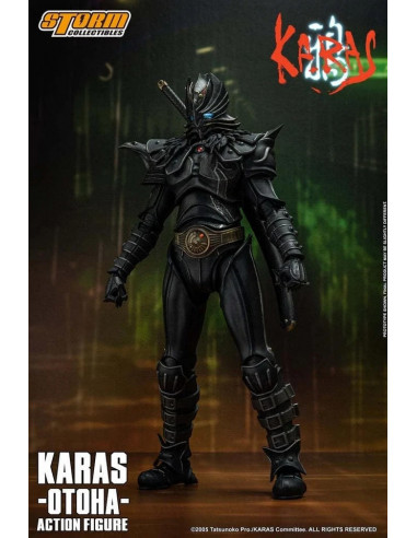 Tskw01 "Karas" Crow [Otoha] 1/12 Scale Action Figure Storm Collectibles RARE