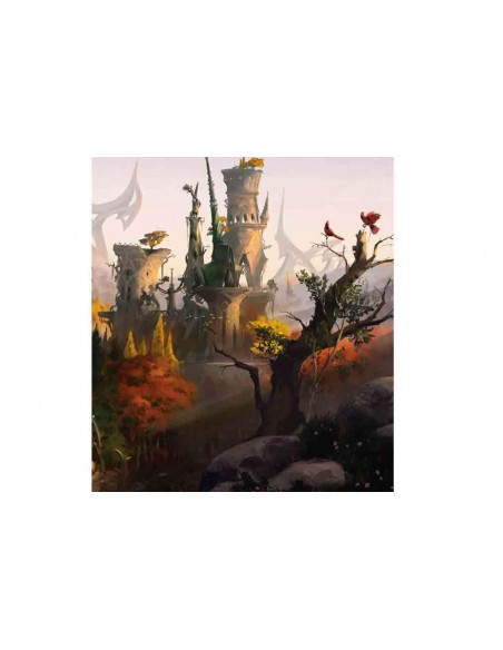 D&D FORGOTTEN REALMS PLAYERS