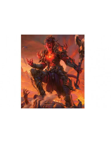 D&D FORGOTTEN REALMS PLAYERS