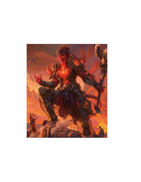 D&D FORGOTTEN REALMS PLAYERS