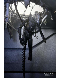 ALIEN ROMULUS DLX SUSP LAB XENO XX121 AF 2