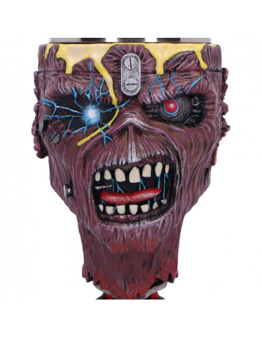 Iron Maiden Goblet Can I Play With Madness