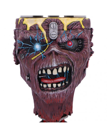 Iron Maiden Goblet Can I Play With Madness