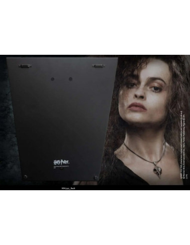 HP BELLATRIX MASK -7325-