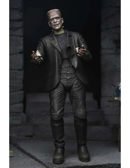 UM BRIDE OF FRANKENSTEIN 90TH MONSTER & HIS MATE 2PACK AF