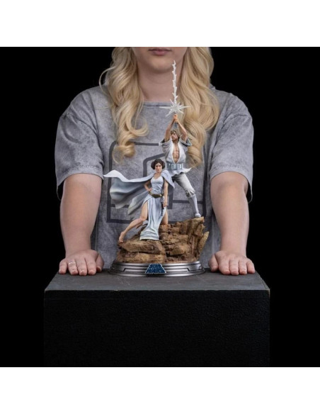 GUERRE STELLARI Star Wars Ep. IV Art Scale 1/10 Statua Luke & Leia IRON STUDIOS