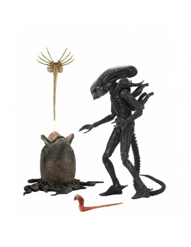 H.R. Giger ALIEN Big Chap 1979 Movie Ultimate Xenomorph Action Figure NECA live