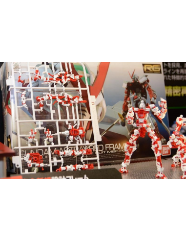 RG 19 GUNDAM Astray Red Frame MBF-P02 Real Grade Model Kit Montaggio Bandai