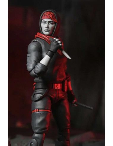 TMNT LAST RONIN LOST YEARS APRIL NIGHTWATCHER AF