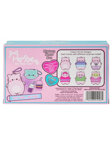 Pembe Keyrings Blind Box Bento Box Display 8 cm (8)