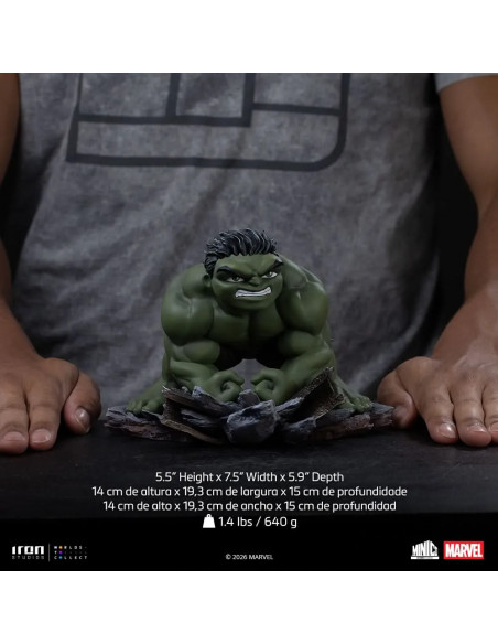 SPIDER-MAN BRAND NEW DAY HULK MINICO