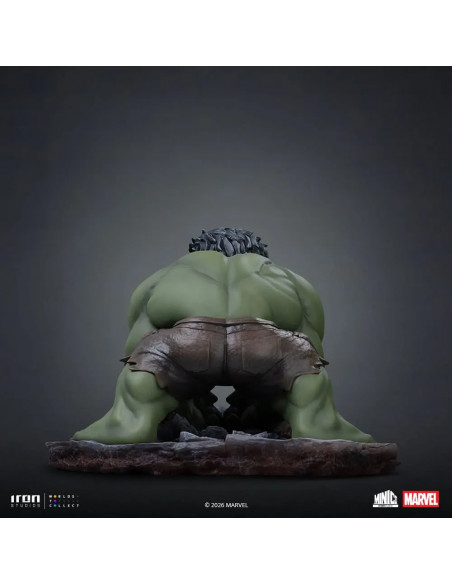 SPIDER-MAN BRAND NEW DAY HULK MINICO