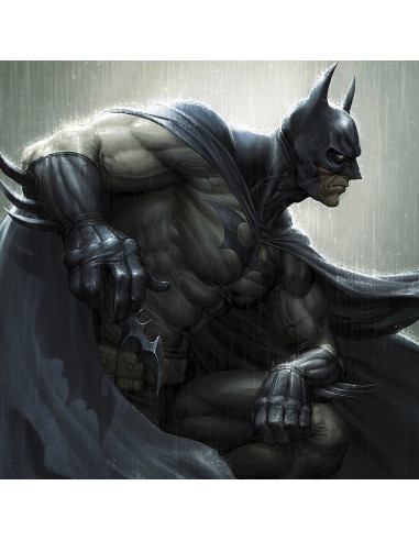 DC Comics Art Print Batman 46 x 61 cm - unframed