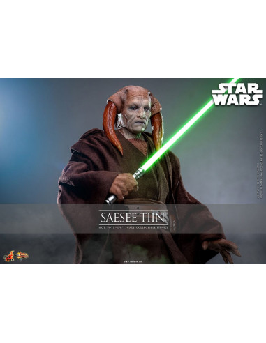 Star Wars: Episode III - Revenge of the Sith Movie Masterpiece Action Figure 1/6 Saesee Tiin 31 cm