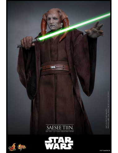Star Wars: Episode III - Revenge of the Sith Movie Masterpiece Action Figure 1/6 Saesee Tiin 31 cm