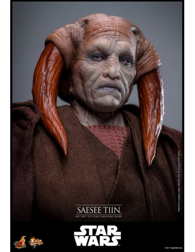Star Wars: Episode III - Revenge of the Sith Movie Masterpiece Action Figure 1/6 Saesee Tiin 31 cm