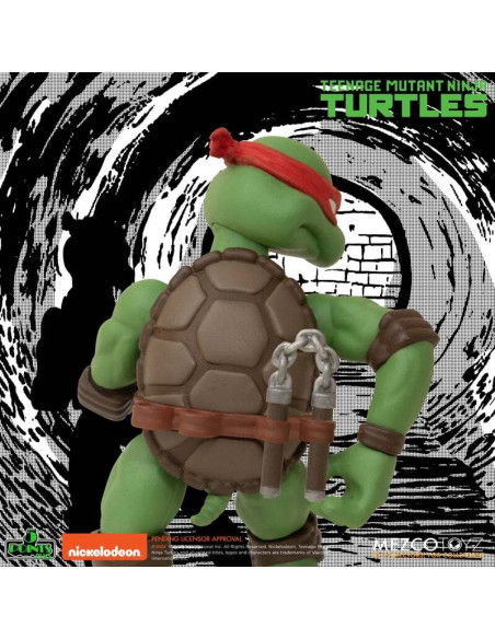 5 POINTS TMNT Teenage Mutant Ninja Turtles Action Figures Deluxe Box Mezco live