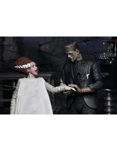 Bride of Frankenstein 90th The Monster & His Mate Action Figure 2-Pack NECA