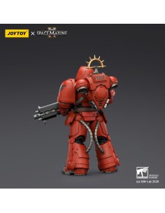 Warhammer 40,000 Action Figure Game Edition Blood Angels Heavy Intercessor 13 cm 2