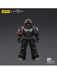 Warhammer 40,000 Action Figure Raven Guard Heavy Intercessor 13 cm