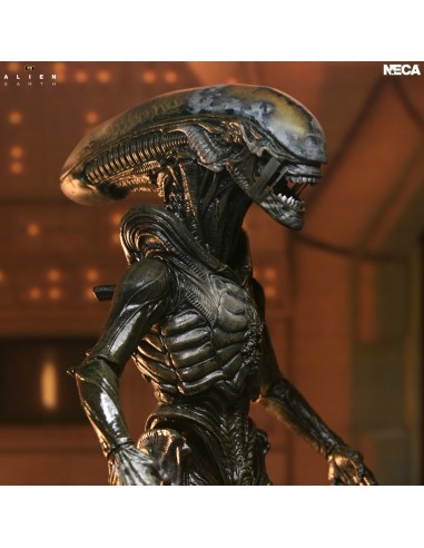 ALIEN EARTH WENDY XENOMORPH ULTIMATE ACTION FIGURE