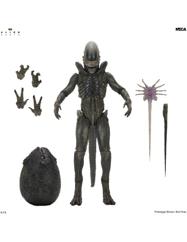 ALIEN EARTH XENOMORPH ULTIMATE ACTION FIGURE