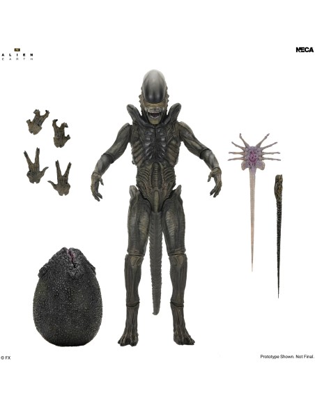ALIEN EARTH XENOMORPH ULTIMATE ACTION FIGURE