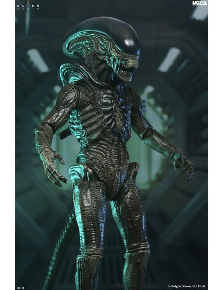 ALIEN EARTH XENOMORPH ULTIMATE ACTION FIGURE