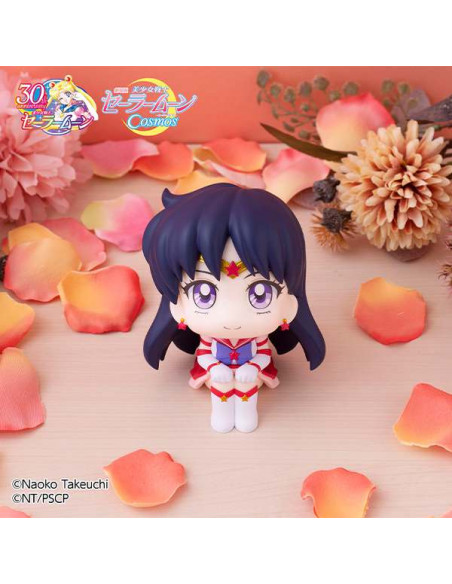 LOOKUP SAILOR  COSMOS  ETER SAILOR MARS