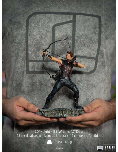 INFINITY SAGA HAWKEYE NY BATTLE 1/10