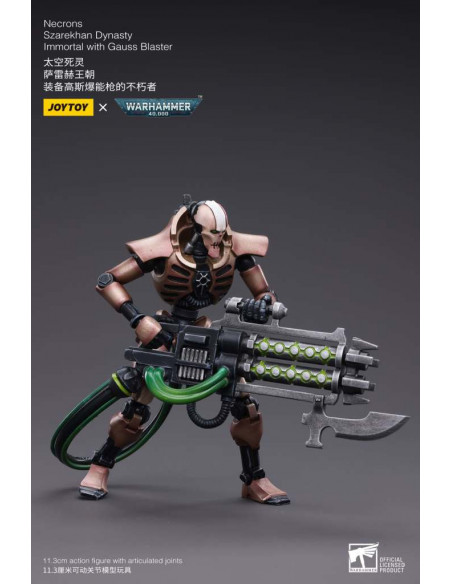 WH40K NECRONS IMMORT WITH GAUSS BLASTER