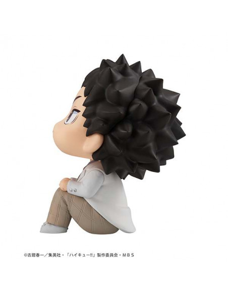 LOOKUP HAIKYU IWAIZUMI