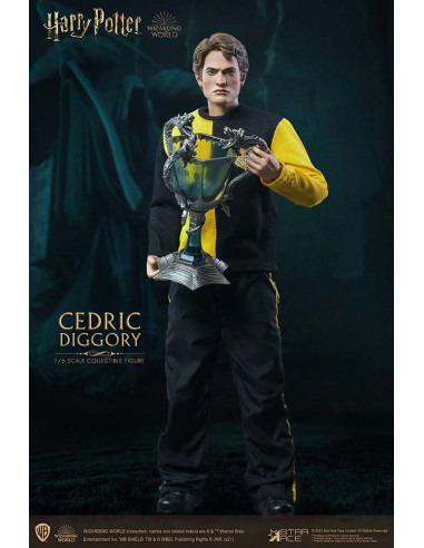 HP CEDRIC DIGGORY 1/6 ACTION FIGURE