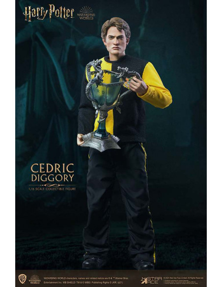 HP CEDRIC DIGGORY 1/6 ACTION FIGURE