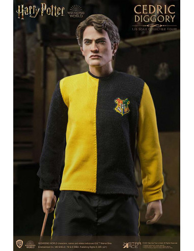 HP CEDRIC DIGGORY 1/6 ACTION FIGURE