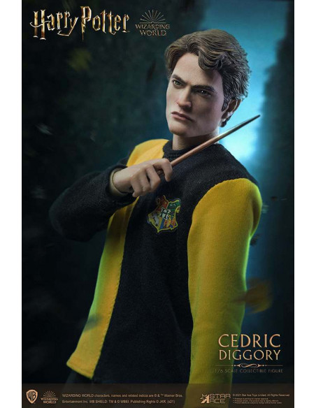 HP CEDRIC DIGGORY 1/6 ACTION FIGURE
