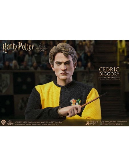 HP CEDRIC DIGGORY 1/6 ACTION FIGURE