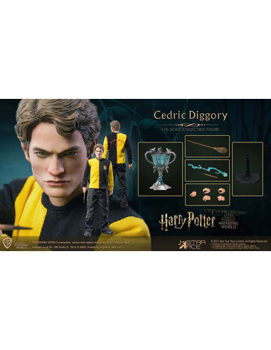 HP CEDRIC DIGGORY 1/6 ACTION FIGURE