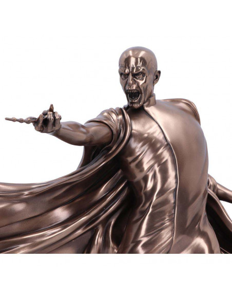 HARRY POTTER VOLDEMORT  AVADA KEDAVRA