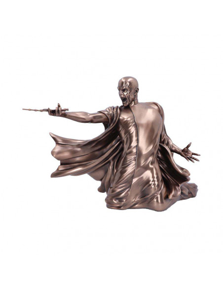 HARRY POTTER VOLDEMORT  AVADA KEDAVRA