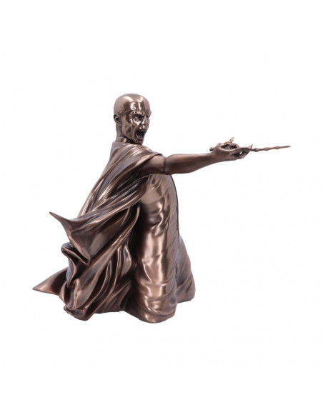 HARRY POTTER VOLDEMORT  AVADA KEDAVRA