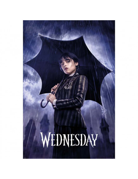 WEDNESDAY POSTERS ASSORTMENT BIN (40)