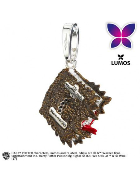 HP LUMOS CHARM 16 BOOK OF MONSTERS