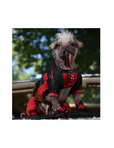 DOGPOOL PLUSH 25cm